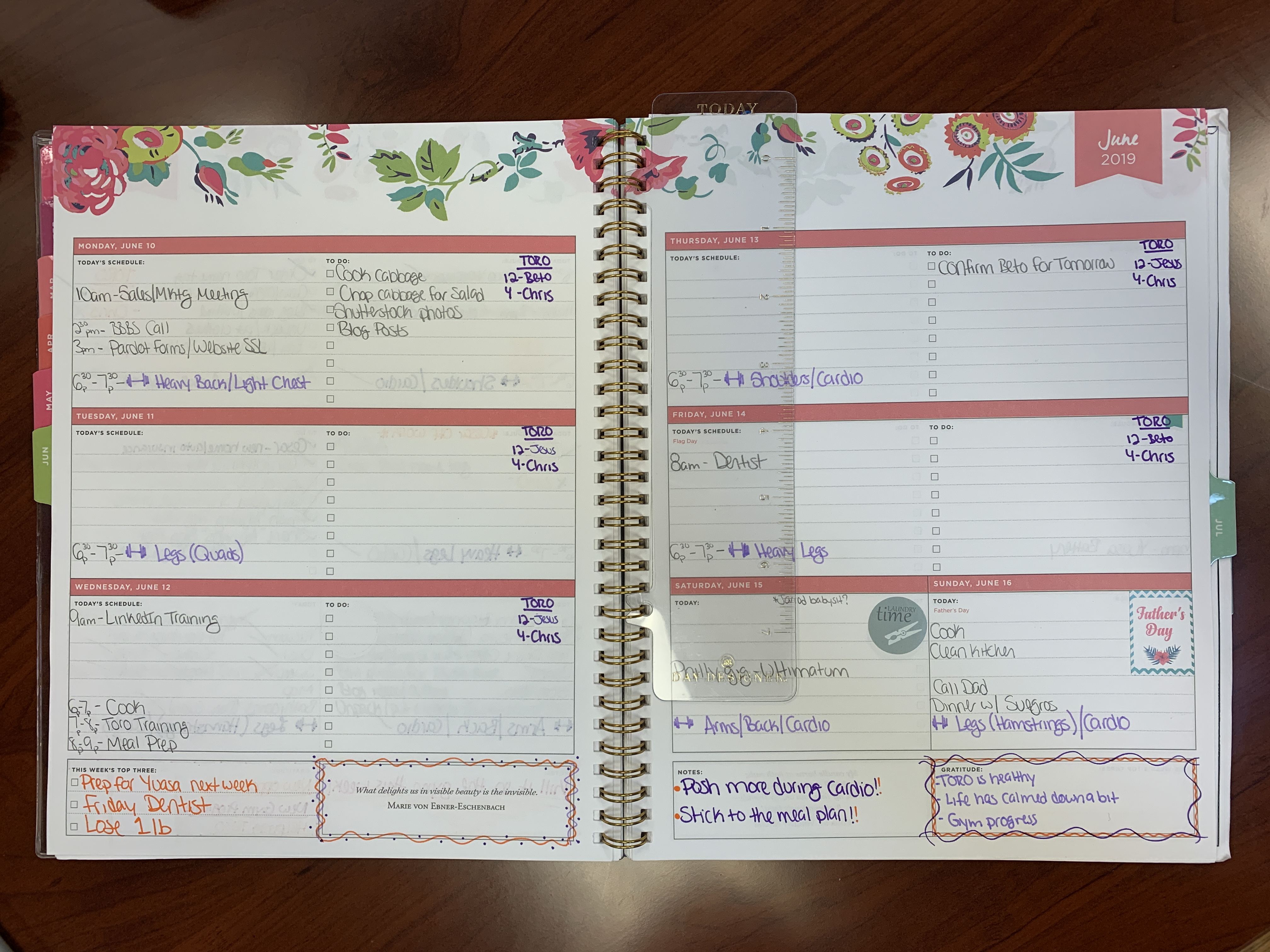 Photo of AnotherGirlNamedAshley's Planner, full-page spread. It is a Day Designer Planner (weekly). The photo shows how AnotherGirlNamedAshley uses her planner.